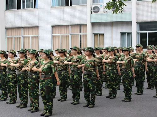 军训总结1