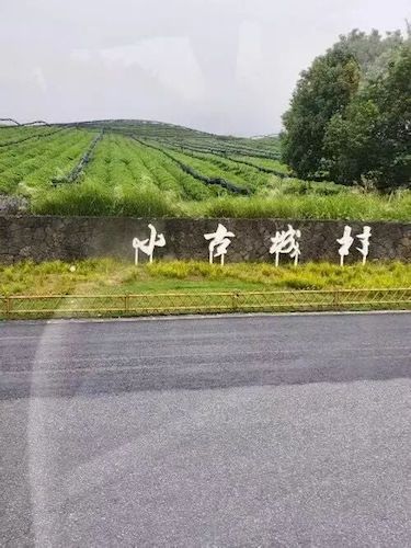 第十六期